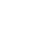 siRNA轉(zhuǎn)染實驗